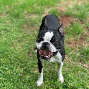 Meet your Posher, Ra